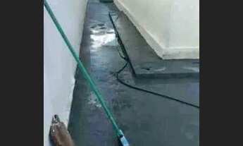 Imagem 4: Casa localizada no Aloísio Campos