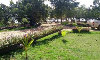Imagem 7: Fazenda Beira do Lago pedaço do Paraíso