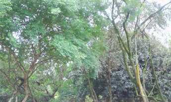 Imagem 4: Casas Assobradadas para locação em São Paulo no bairro Sitio da Figueira