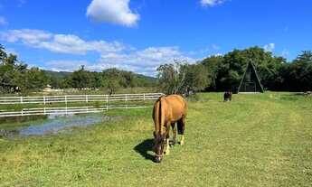 Imagem: Fazenda/Sítio/Chácara para venda possui