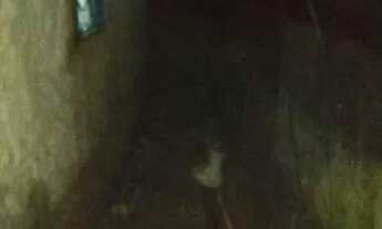 Imagem 2: Vendo ou troco kitnet