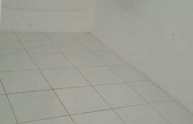 Imagem 3: Aluga-se Apartamento