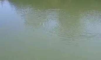 Imagem 5: Vende-se uma bela fazenda de 93 alqueires