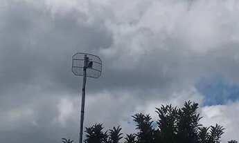 Imagem 2: Sítio Chácara com venda por R$420.000