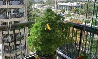 Imagem 4: LINDO APARTAMENTO 4 QUARTOS - PORTAL DO PARQUE