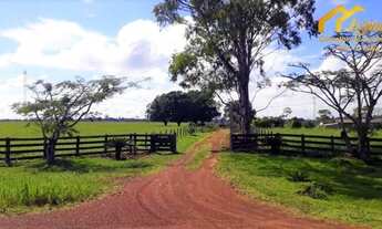 Imagem 4: CA- Linda Fazenda/Sítio/Chácara para venda em Sorocaba do Sul- SC