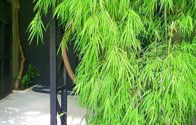 Imagem 2: Casa para aluguel, 3 quartos, 1 suíte, Alto dos Pinheiros - Belo Horizonte/MG