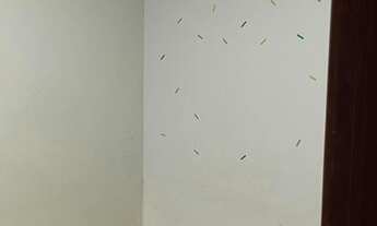 Imagem 7: Alugo casa Santa Lúcia