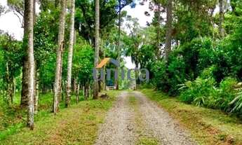 Imagem 2: Chácara - São Bento do Sul