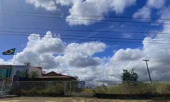 Imagem: Área as margens da BR 101, Linhares - ES