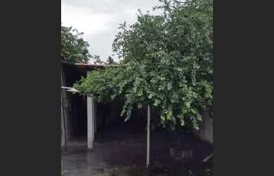 Imagem 4: Alugo casa em Lauro