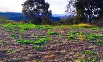 Imagem 2: 30an-NÃO SE LAMENTE,INVISTA