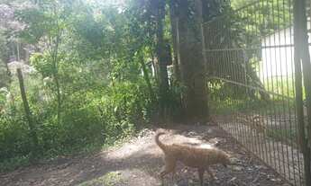 Imagem 7: 6,7 hectares apenas 427 mil reais 11 9 3329-5660