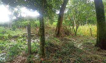 Imagem 6: TERRENO «chácara» (LEIA O ANUNCIO