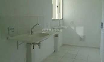 Imagem 5: Apartamento para aluguel, 2 quartos, 1 vaga, Cavalhada - Porto Alegre/RS