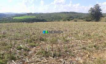Imagem: INGAí - Fazenda - Zona Rural