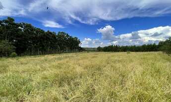 Imagem 6: Chacaras de 1.000m2 planas financiadas no carne !