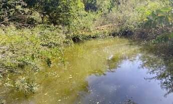 Imagem 7: Vende-se Fazenda de 16.72 alqueires em Trindade-GO