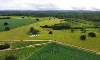 Imagem 3: Fazenda em Novo Acordo. 67 mil com lavoura