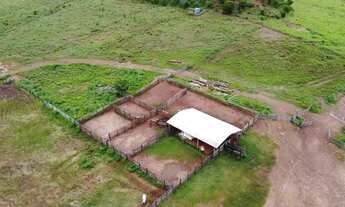 Imagem 2: Fazenda em Novo Acordo. 67 mil com lavoura