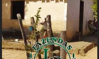 Imagem 6: Oportunidade Fazenda pra Lavoura 918 Alqueires ou Seja 4.444 Hectares, Beira Rio Plana