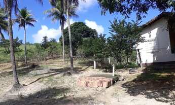 Imagem: Venda-se está propriedade de 15,5 (quinze