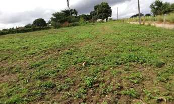 Imagem 7: Vendo chácara com 77 tarefas em Arapiraca - AL