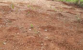 Imagem 6: LOTES 1684m2 area total