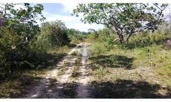 Imagem 5: FAZENDA PEDRA NO DISTRITO DE BOA UNIÃO - 25 TAREFAS DE TERRA - BR 110 - PORTÃO - ALAGOINHA