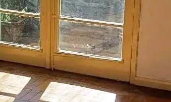 Imagem 3: Apartamento 2 dormitórios para alugar Floresta Porto Alegre/RS