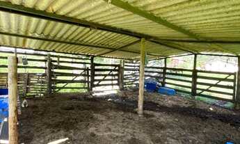 Imagem 5: Chácara 4 alq. em Petrolina