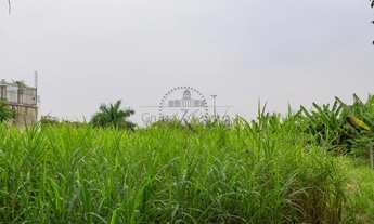 Imagem 3: Terreno Residencial - Alto de Pinheiros - 1.541m²