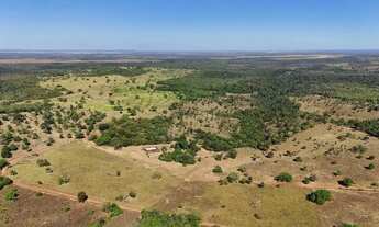 Imagem 6: FAZENDA NO MUNICIPIO DE PALMAS