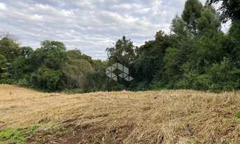 Imagem 5: Chácara com casa e ótimo aproveitamento