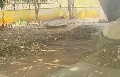 Imagem 6: Imóvel para venda tem 7000 metros quadrados com 3 quartos em Setor Central - Aragoiânia