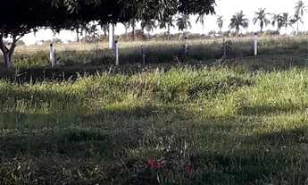 Imagem 2: Vendo área próximo morada nova