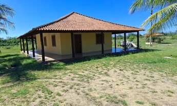 Imagem 7: GRUSSAÍ - Sítio na BR-356 - Curva de Grussaí