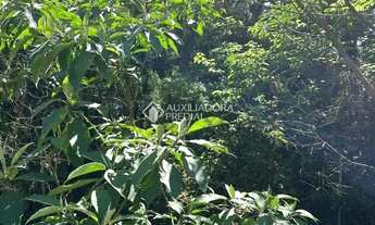 Imagem 2: Loteamento Bosque das Araucárias - Linha Imperial