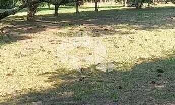 Imagem 3: Terreno de 2.170mts2 no Rincão da Natureza, Gravataí MORUNGAVA