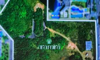 Imagem 5: Ara mira lançamento