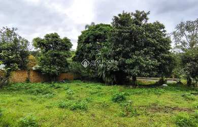 Imagem 3: Oportunidade Imperdível - Terreno Residencial/Comercial na Vargem Pequena