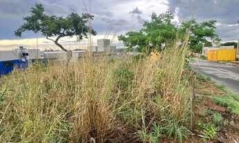 Imagem 3: Lote Comercial - Senador Canedo