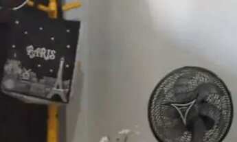 Imagem 3: Casa para Venda, ITACOLOMI, 2 dormitórios, 1 banheiro, 3 vagas