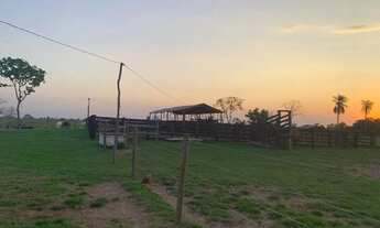 Imagem 2: Fazenda com 517 hectares na região entre a cidade de Nossa Senhora do Livramento