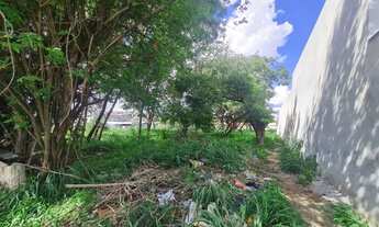 Imagem 7: Lote / Terreno à venda em Betim