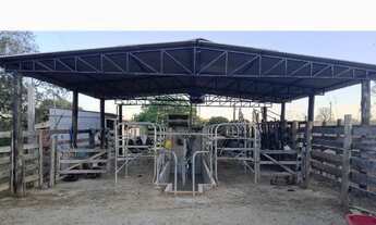 Imagem 3: Vendo chácara fazenda 9,2 Hectares 70 km de Goiânia entre Anápolis e Abadiânia