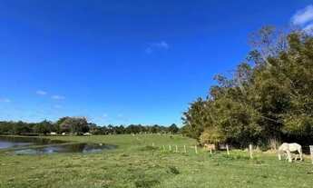 Imagem 6: Excelente Sítio de 3,5ha na Estância Grande