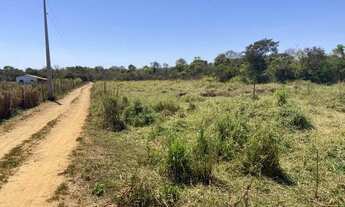 Imagem 5: CHÁCARA EM GOIANIRA (OPORTUNIDADE) 20.000 M²
