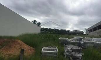 Imagem 5: Terreno Padrão em Bauru