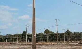 Imagem 6: Parque Miriti terreno